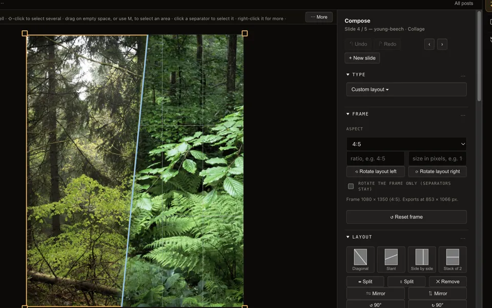 Edit view: a two-photo forest collage with a slanted separator selected, and the slide panel beside it.